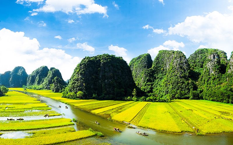 quang-phu-cau-incense-village-trang-an-tam-coc-boat-king-dinh-le-ancient-temple-relaxing-tour quang-phu-cau-incense-village-trang-an-tam-coc-boat-king-dinh-le-ancient-temple-relaxing-tour